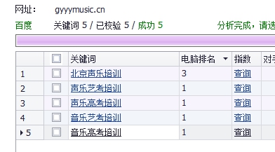 網站優化成功